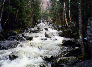 A heavy spring flow in the adirondacks