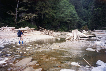 Chris walks the rocks to cross the stream