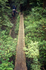 To get across, you can take your time by going trough the muddy ravine or risk the log