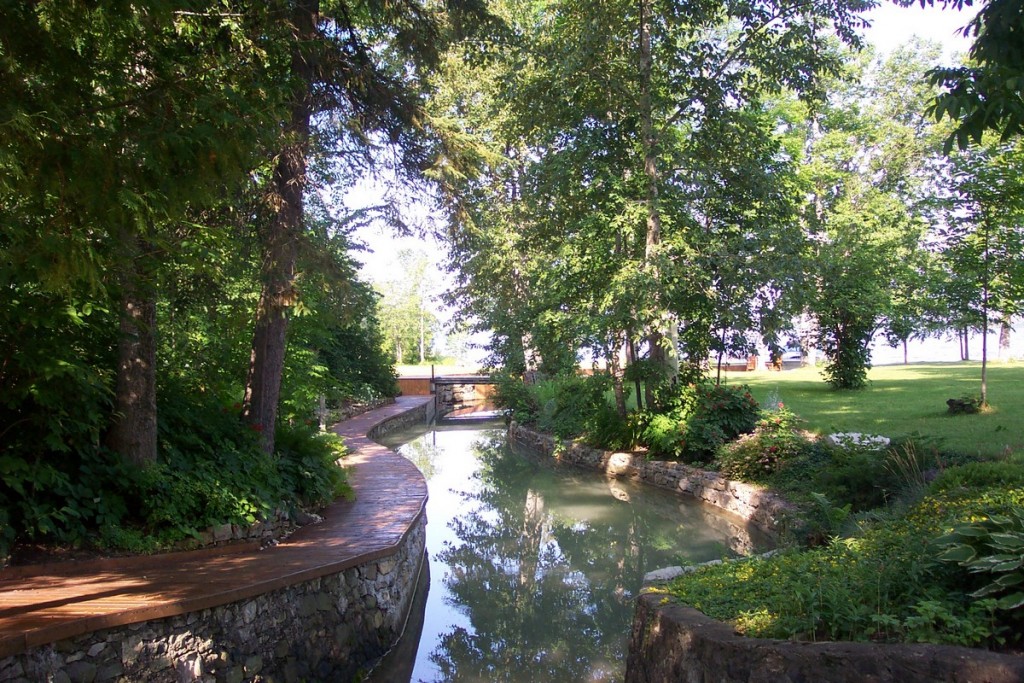 The creek during a calm summer morning
