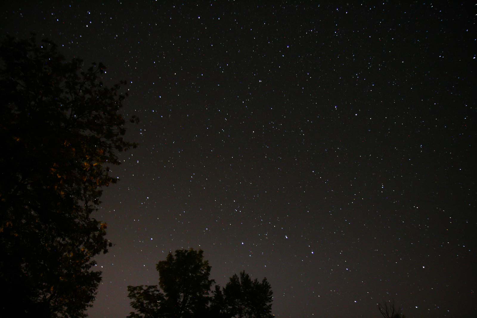 Night time stars seen from the backyard on Dawson Point